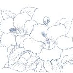 hibiscus-1のサムネイル